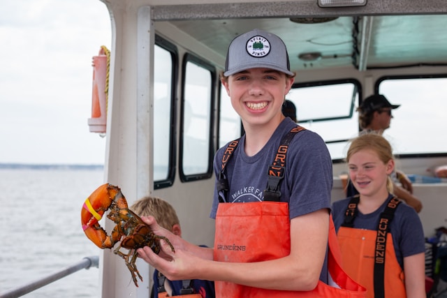 Maine lobster delivery