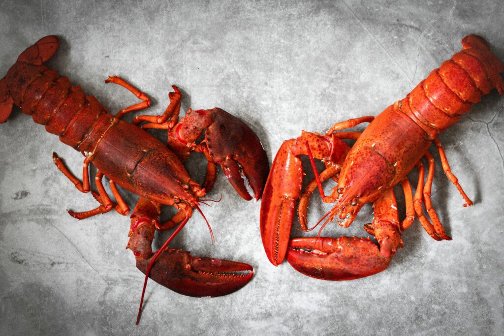 Fresh Maine lobster delivered overnight